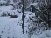 thumb_IMG_6988